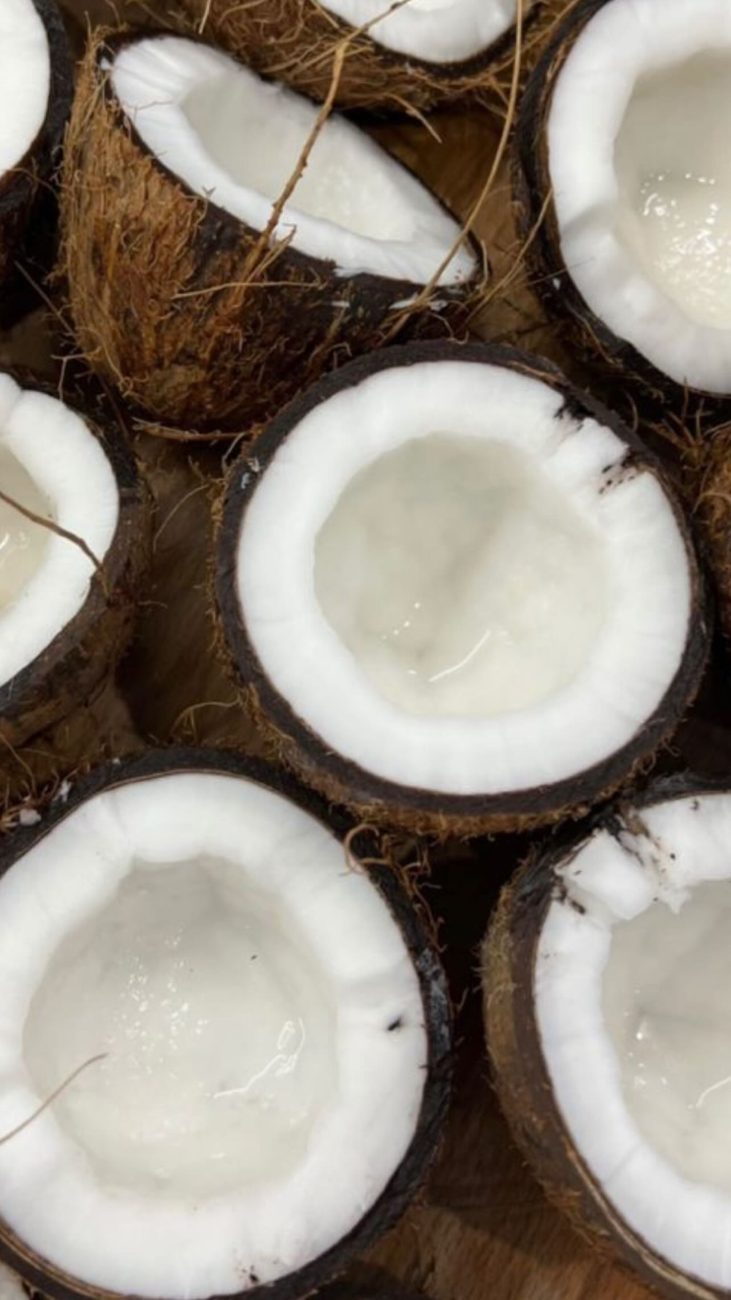 Noix de coco fraîches