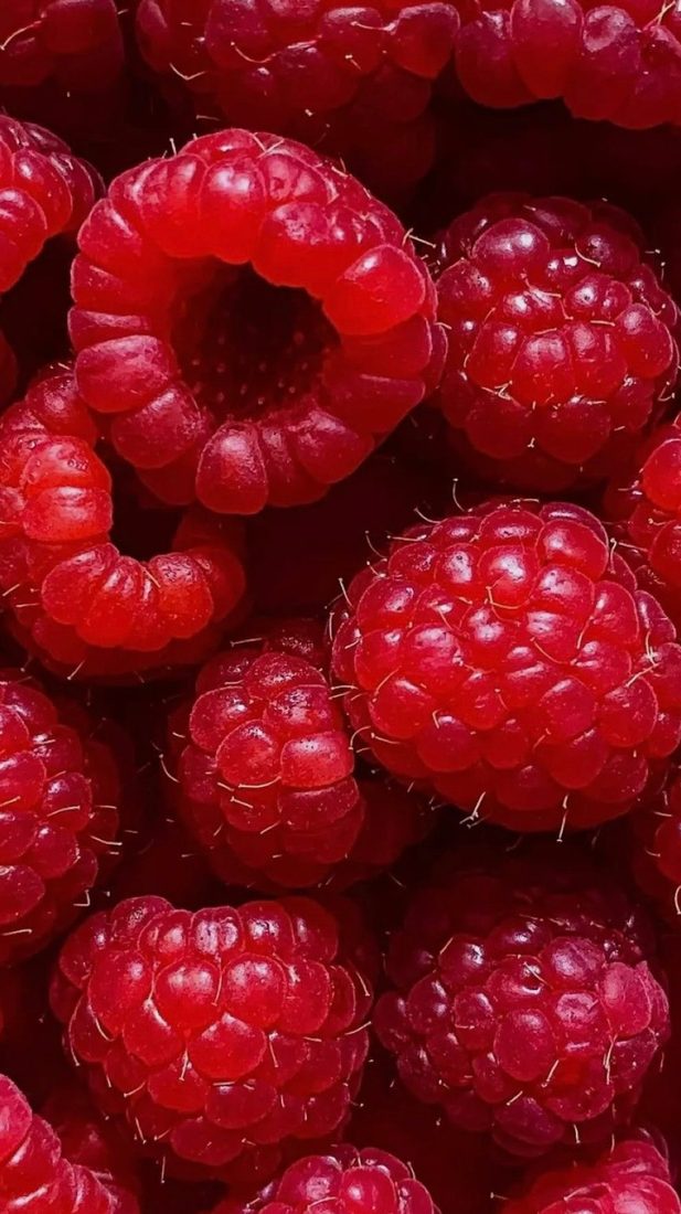 Framboises fraîches